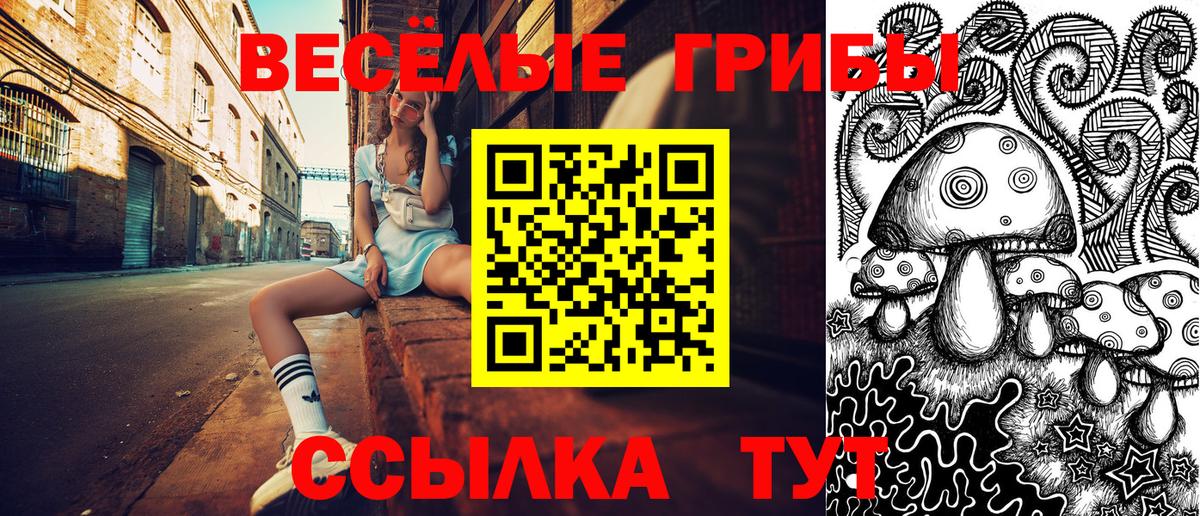 Псилоцибиновые грибы прущие грибы Подольск