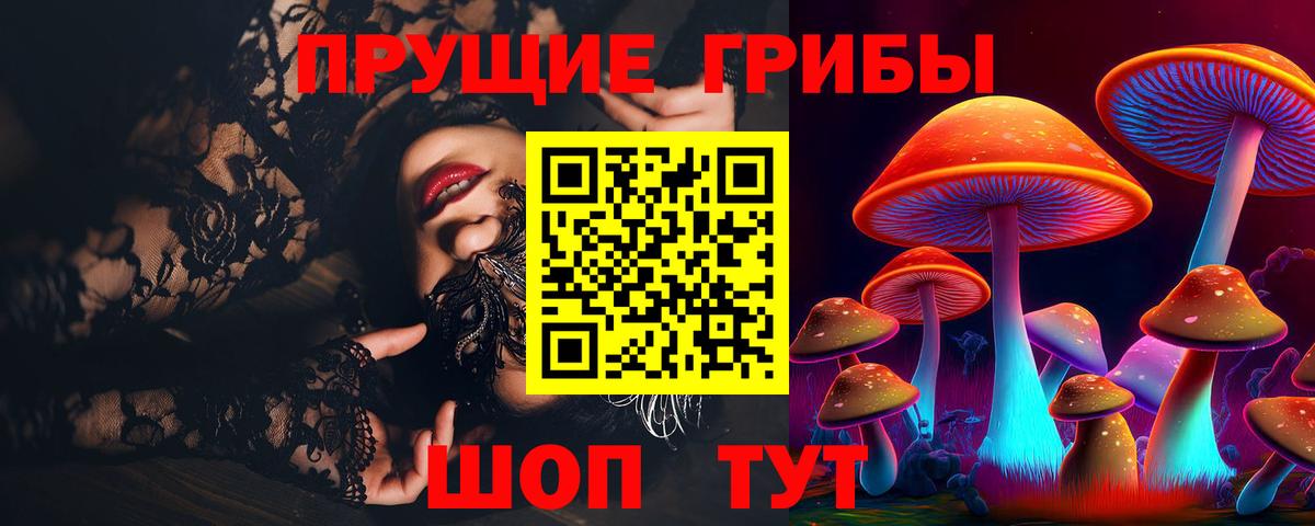 Подольск  Псилоцибиновые грибы MAGIC MUSHROOMS  Вход с VPN 